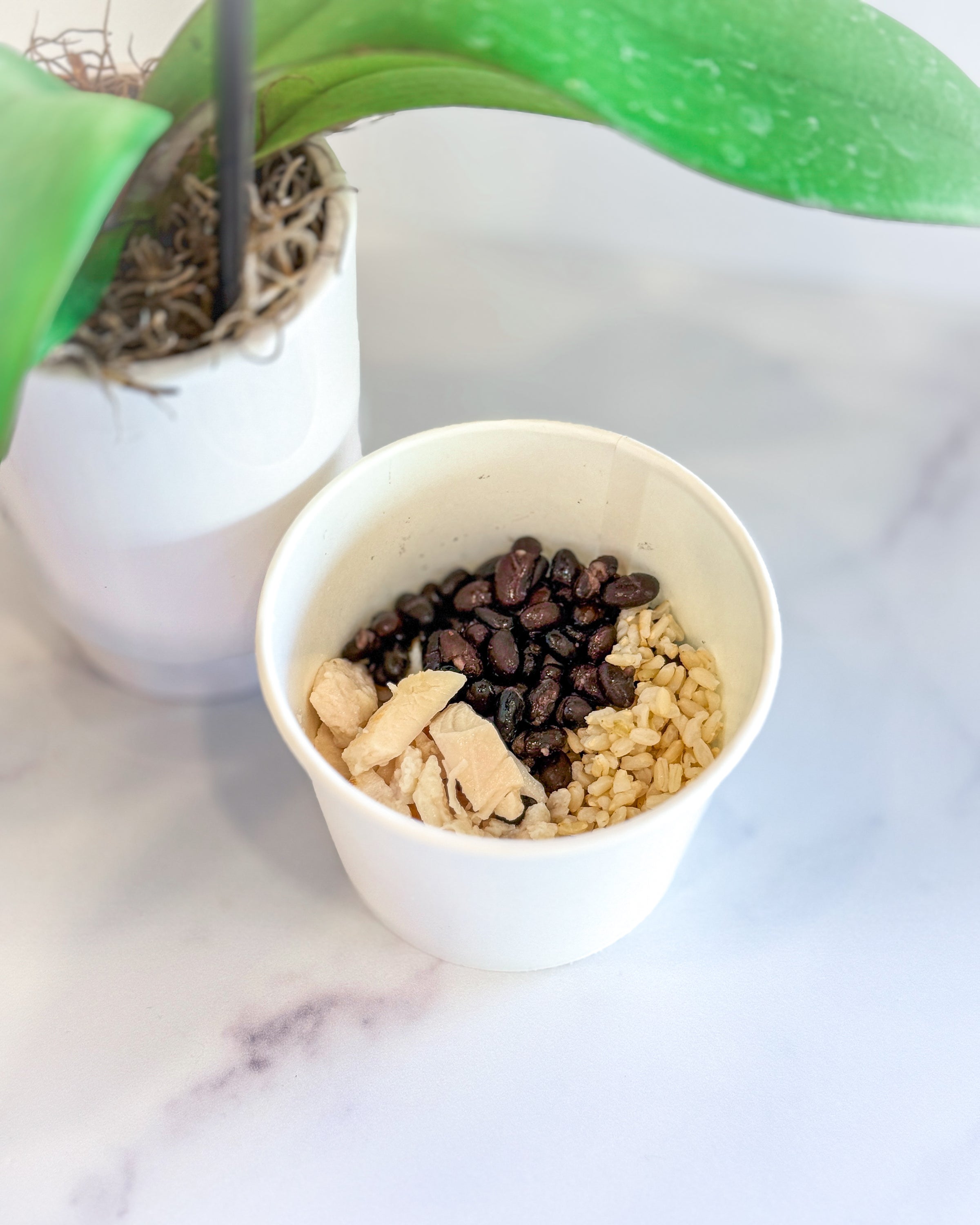 Chicken, Beans + Rice Bowl [Kids] | Vibe Health Bar - Online Ordering
